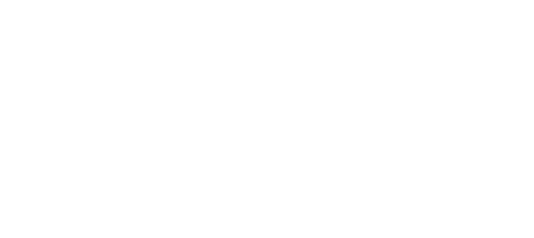 National Arts Council